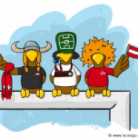 Crazy Birds - EURO 08