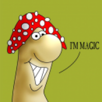 MAGIC