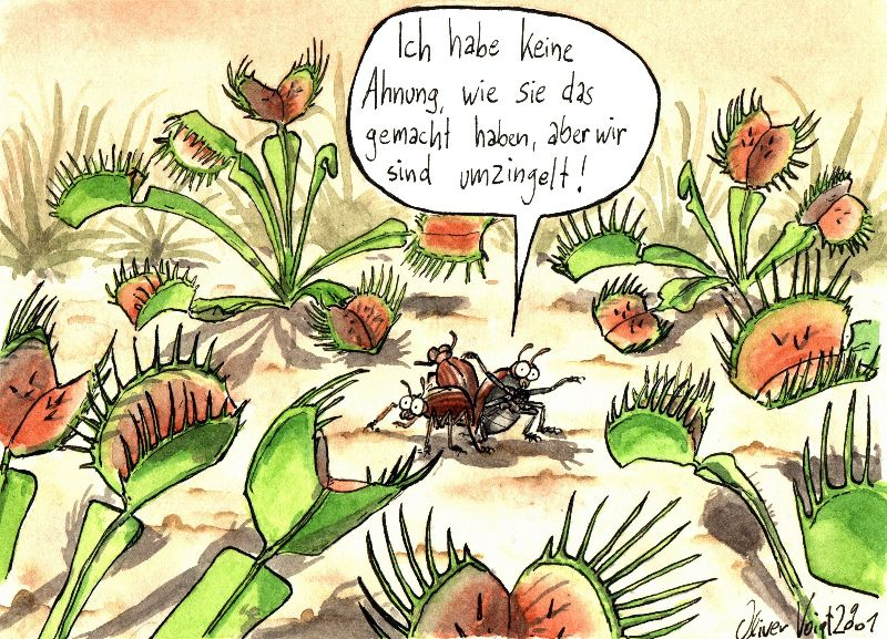Cartoon: Umzingelt 1