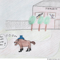 Tierheim