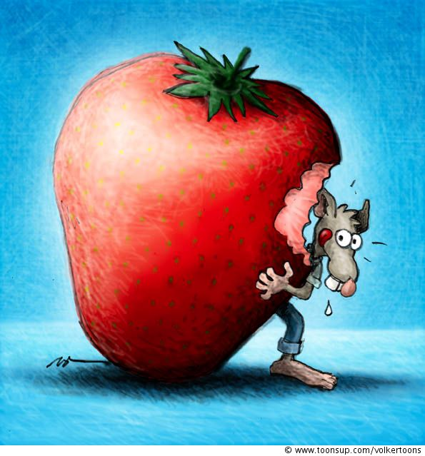 Illustration: Erdbeerbodo 1