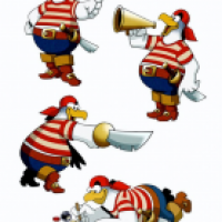 Pitje Poel