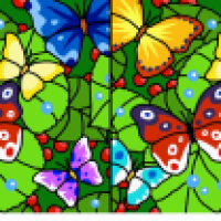 Fehlersuchbild: Schmetterlinge