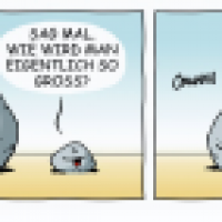 STEINE - Neoliberalismus