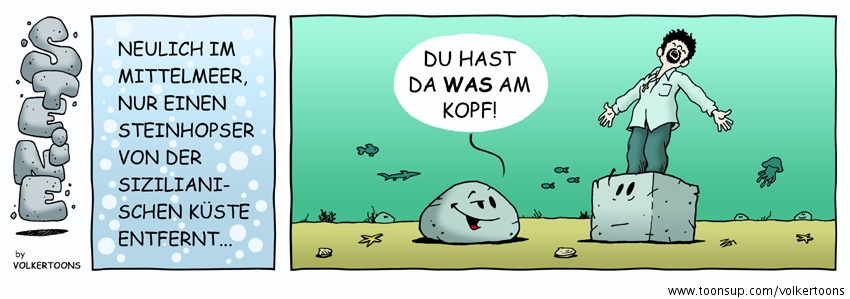 Comic: STEINE - Was am Kopf 1