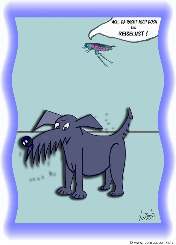 Comic: Flohreiselust 1