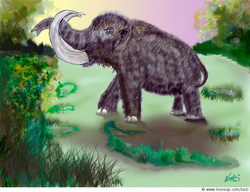 Illustration: Mammut 1