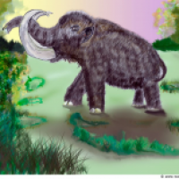 Mammut