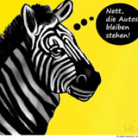 Zebra