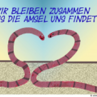 Regenwurmliebe