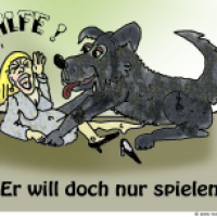 Der will doch nur spielen!