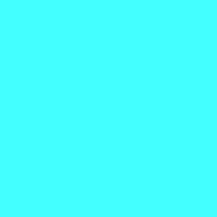 Animation: dogandfly 1