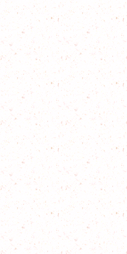 Animation: Schneckenhundschnecke 1