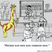 Farbiges trifft Graues