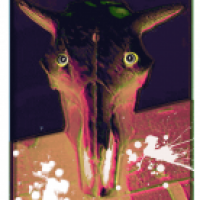 Herbstanfang