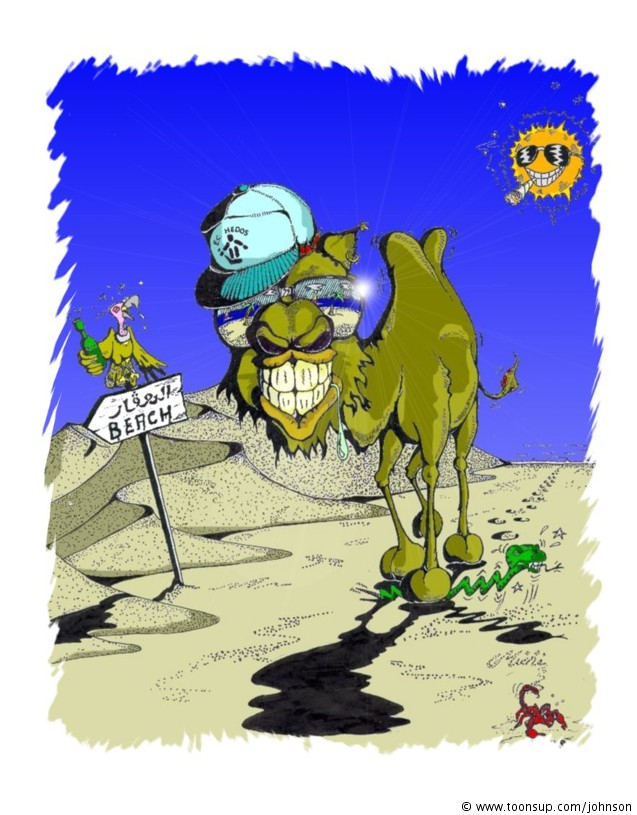 Illustration: Cool Camel 1