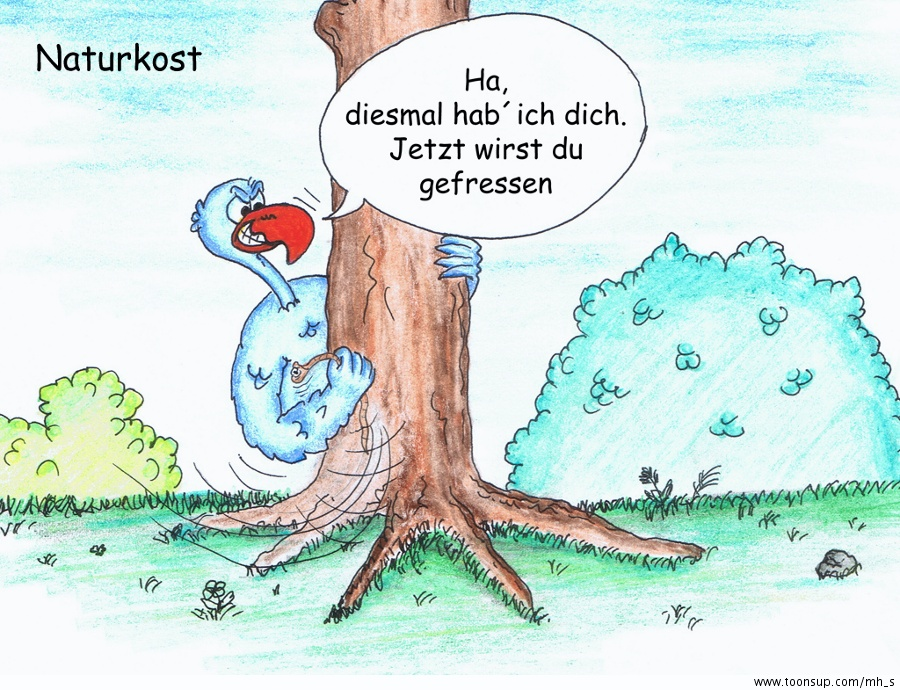 Comic: Rudi der Regenwurm - Naturkost 1