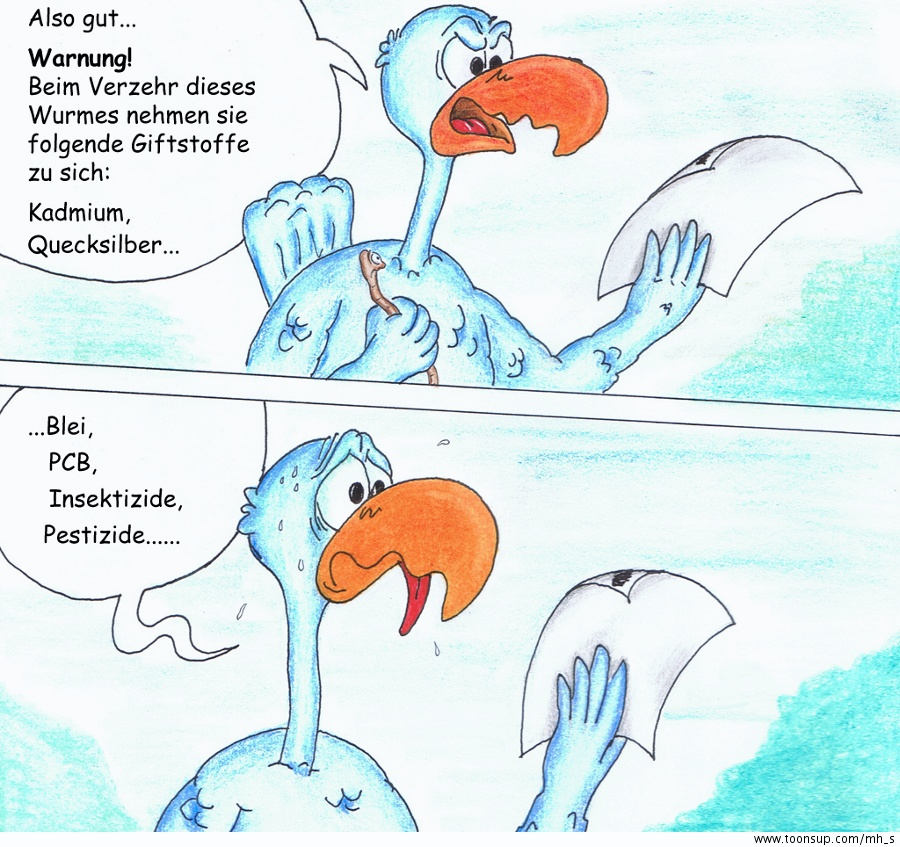 Comic: Rudi der Regenwurm - Naturkost 3
