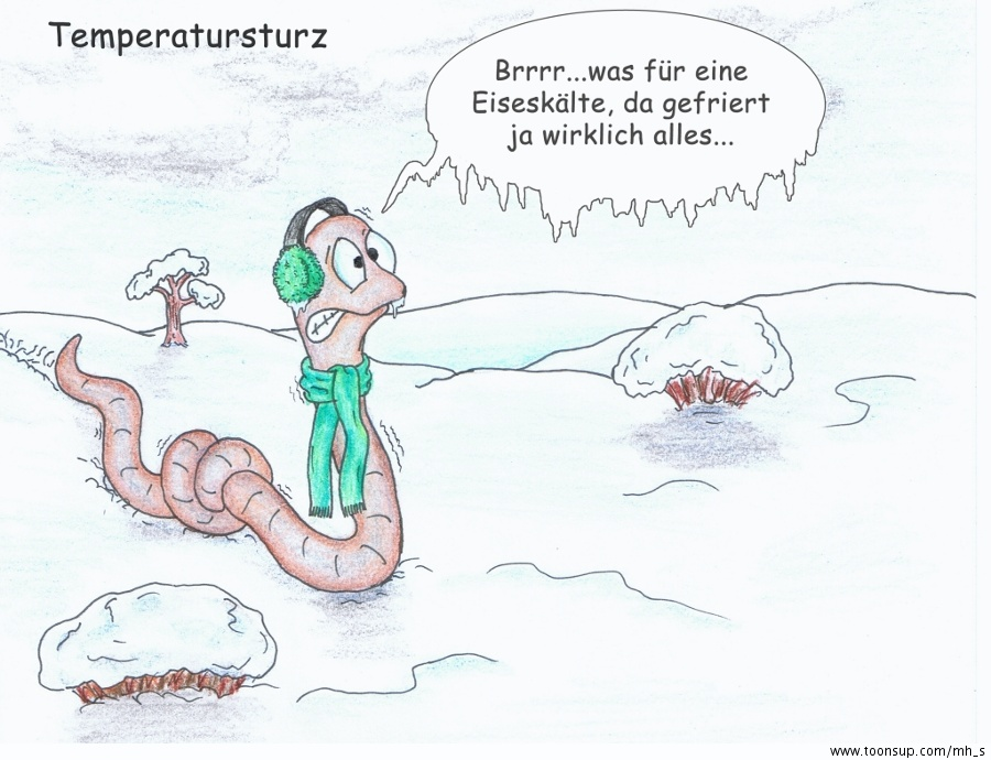 Comic: Rudi der Regenwurm - Temperatursturz 1