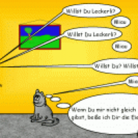 für Katzenbesitzer