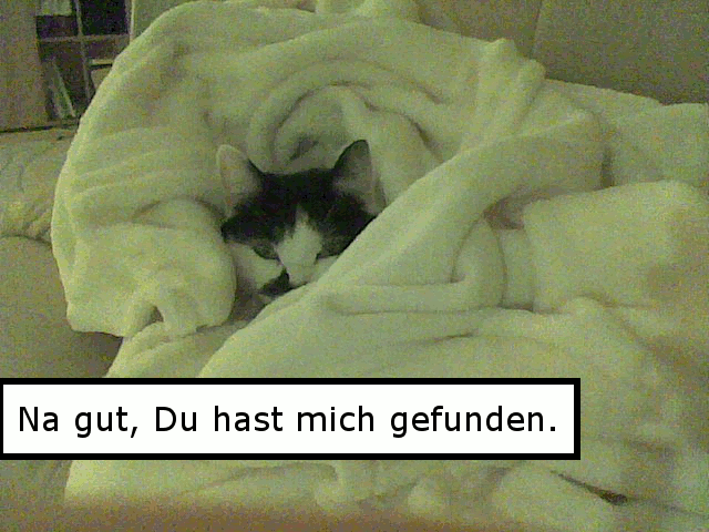 Comic: Verstecken mit der Katze 3
