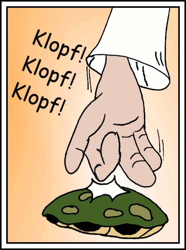 Comic: Schildkröte beim Tierarzt 1
