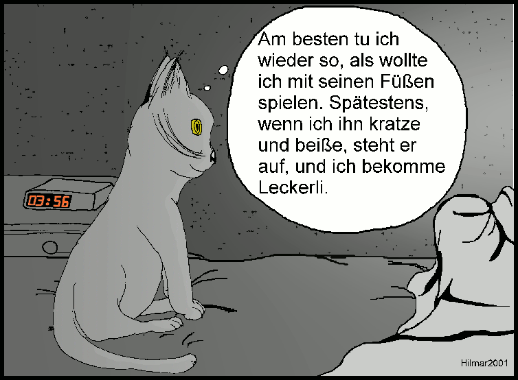 Illustration: Katze die Leckerli will V2 1