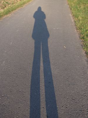 Comic: Der Schatten 2