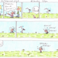 Die Verfolgungsjagd