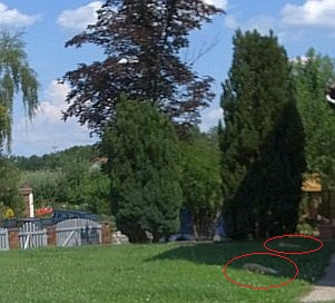Comic: Ausgestorben (35 Grad) 2