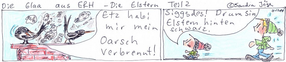 Comic: Die Elstern Teil 2 1