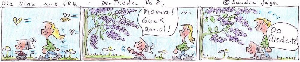 Comic: Fieder No 2 1