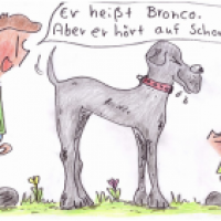 Bronco, die Dogge