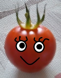 Comic: Die Tomate 3