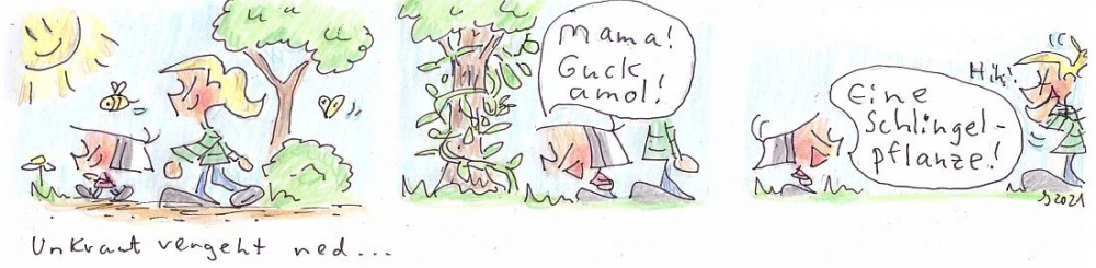 Comic: Unkraut vergeht ned ... 1