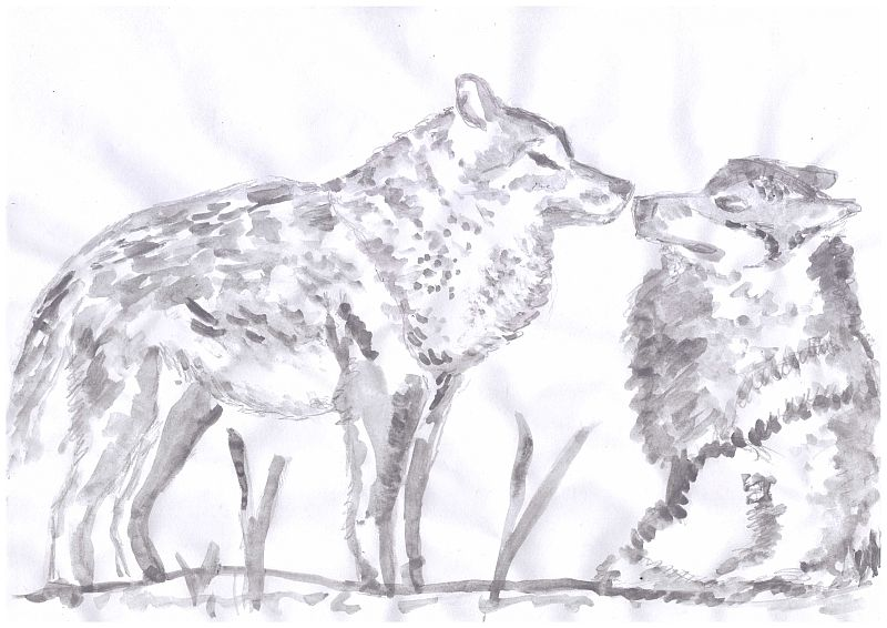Illustration: Wölfe mit Farbkasten 1