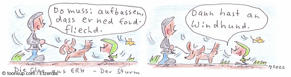 Comic: Der Sturm 1