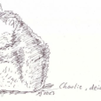 Charlie Hamster :)