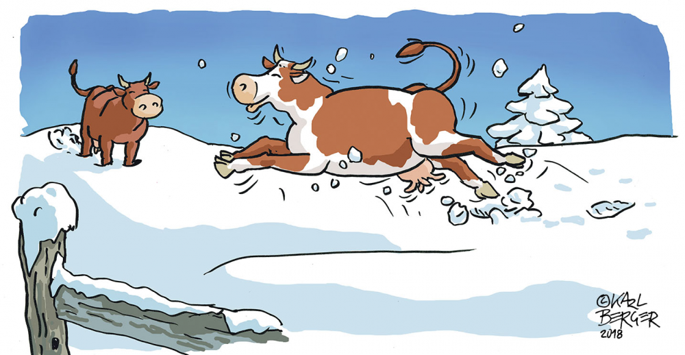 Illustration: Glückliche Kühe 1