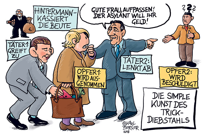 Other: Kurzschluss - Ein politisches Cartoonbuch aus Österreich 2