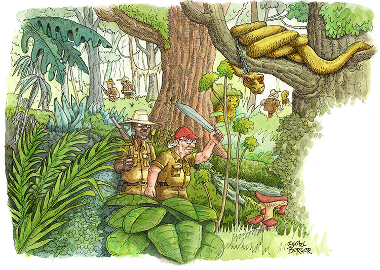 Illustration: Safaripark 1