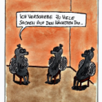 Eintagsfliegenproblem