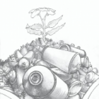 Dosenblume