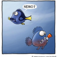 Findet Nemo (No. 214)