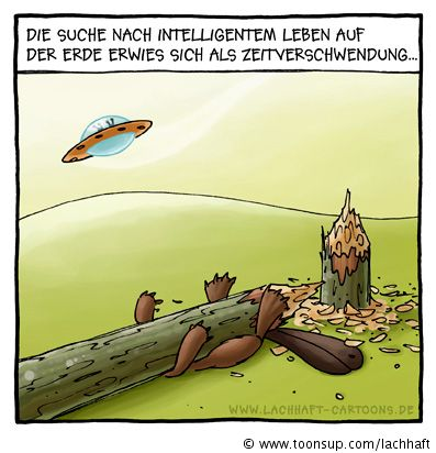 Cartoon: Dumme Biber (No. 260) 1