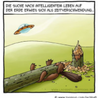 Dumme Biber (No. 260)