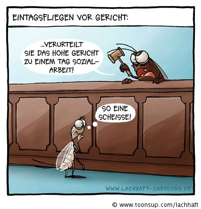 Cartoon: Eintagsfliegen vor Gericht (No. 241) 1