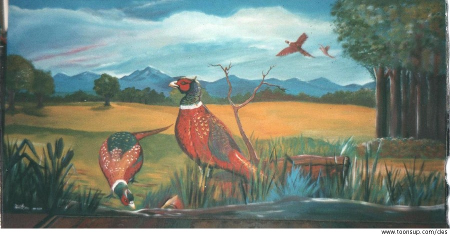 Illustration: Pheasants 1