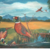 Pheasants