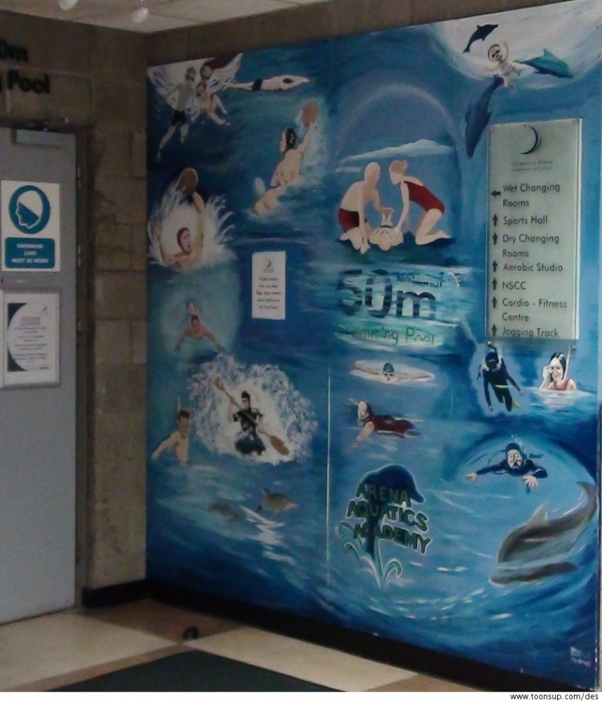 Illustration: Swmming Murals 1